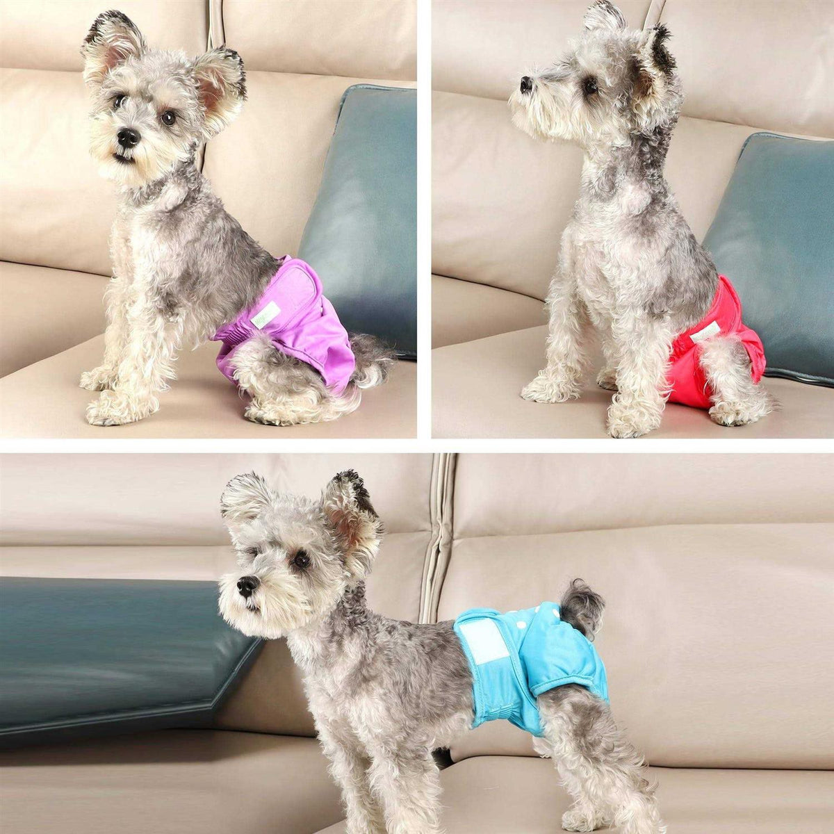 Washable Reusable Dog Diapers U361386