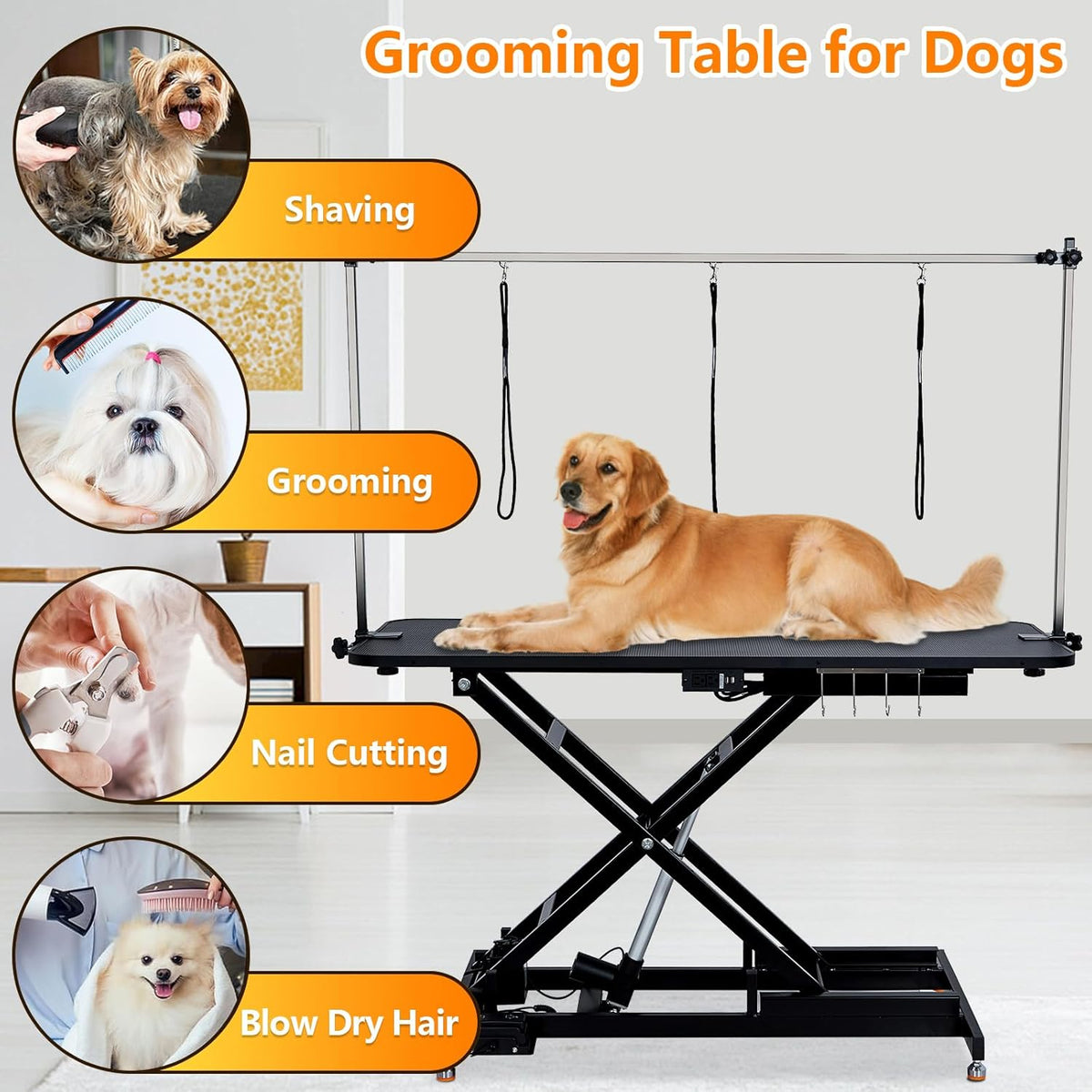 60" Hydraulic Pet Grooming Table Heavy Duty Max Load 350Lbs U187