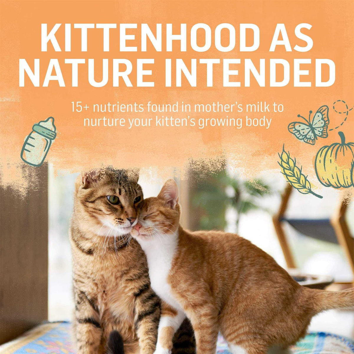 Natural Kitten Food Chicken & Oatmeal N4371