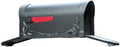Floral Curbside Mailbox with Two Doors O464350