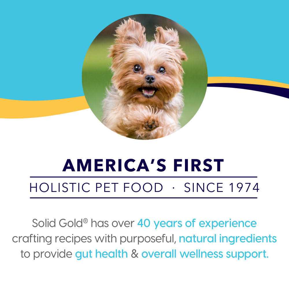 Solid Gold Small Breed Dry Dog Food B2627