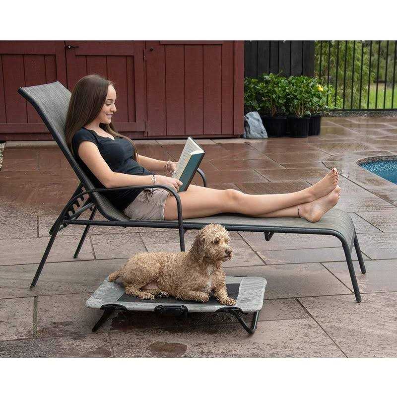 Elevated Pet Cot G795