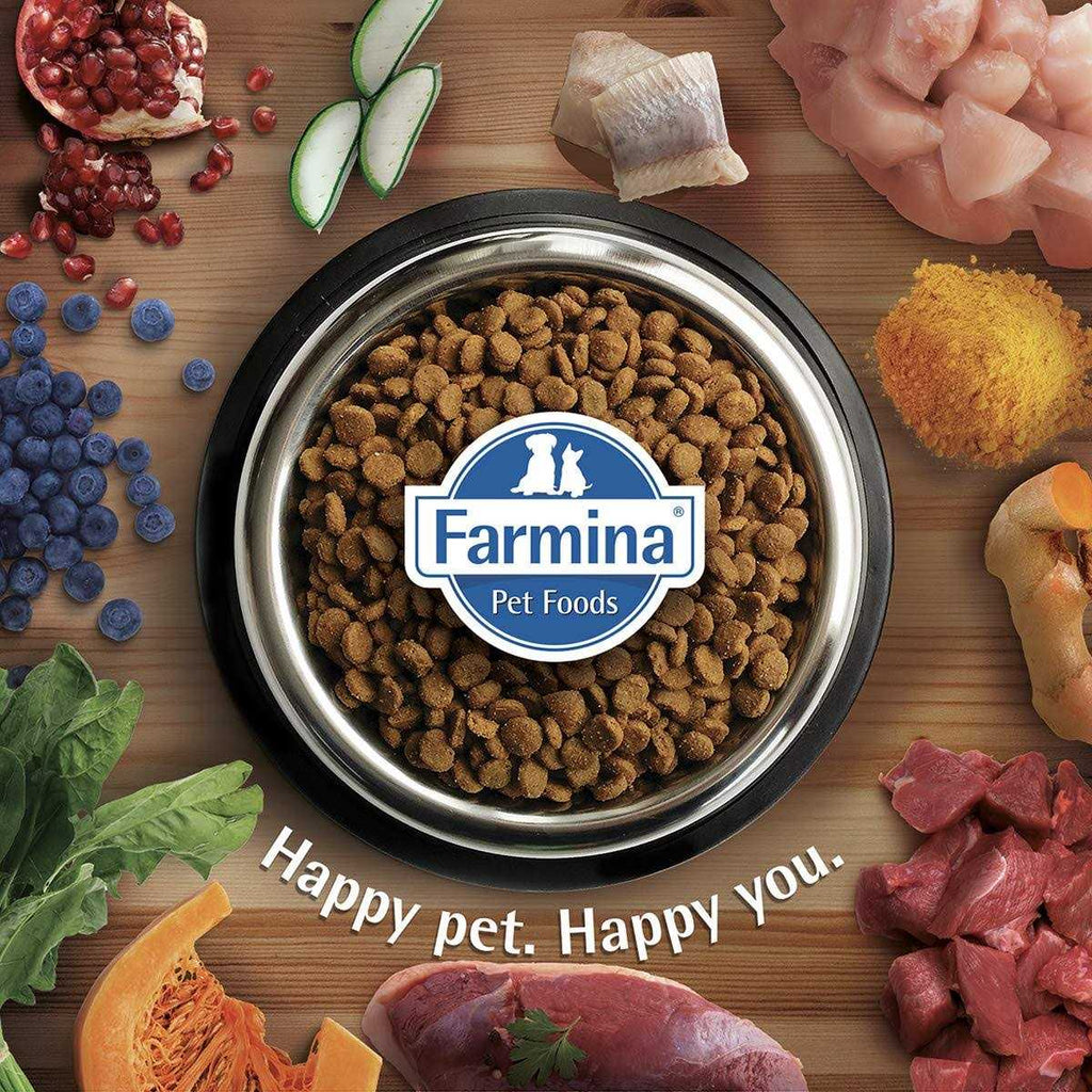 Chicken & Pomegranate Cat Dry Food R466773