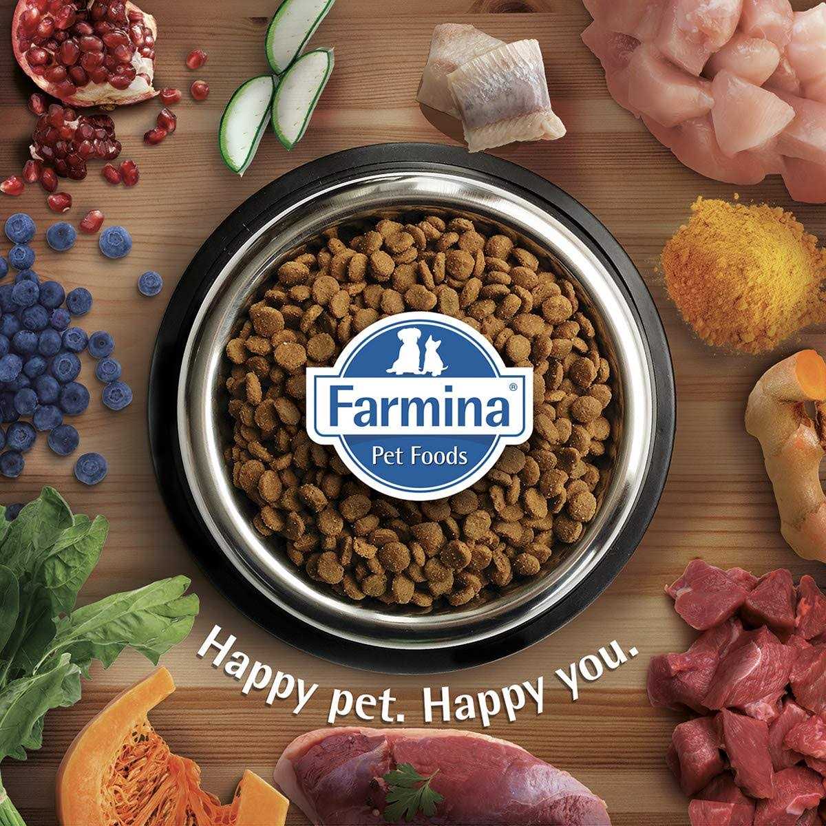 Chicken & Pomegranate Cat Dry Food R466773