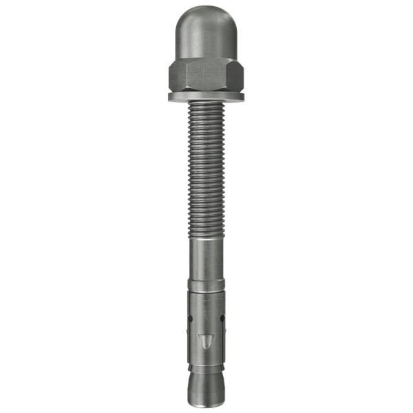 Stainless Steel Anchor with Cap Nut Z364161
