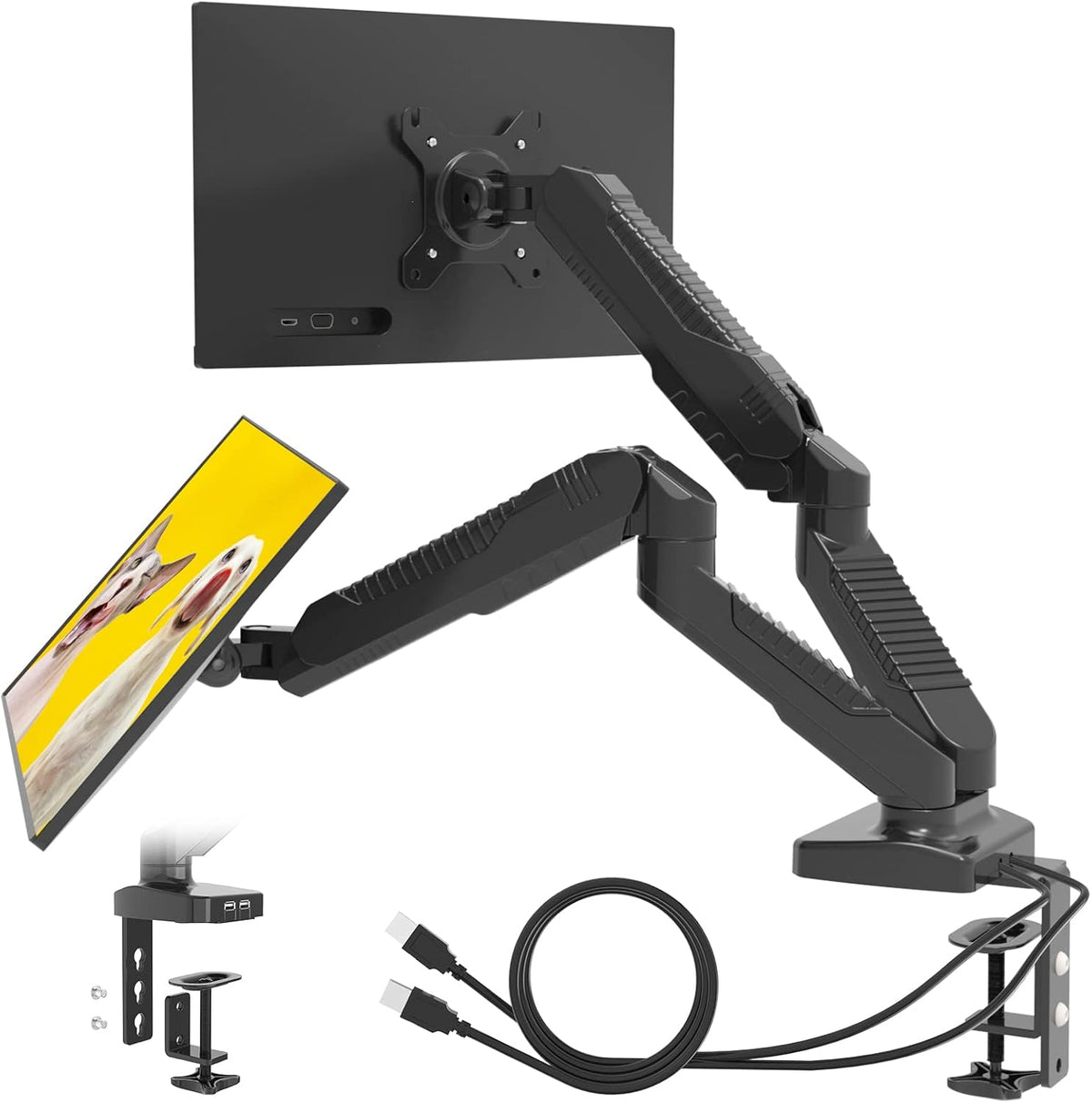 Dual Monitor Arm Desk Mount with USB 2.0, VESA 75*75/100*100, 14.3 lbs, Pack of 2 D97845