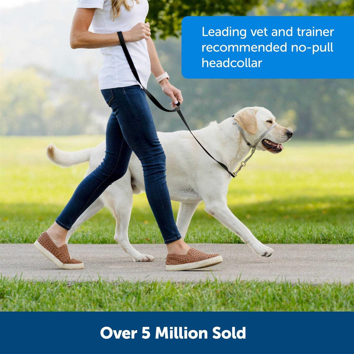 Headcollar L411301