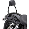 Black Powder-Coated Sissy Bar K567209