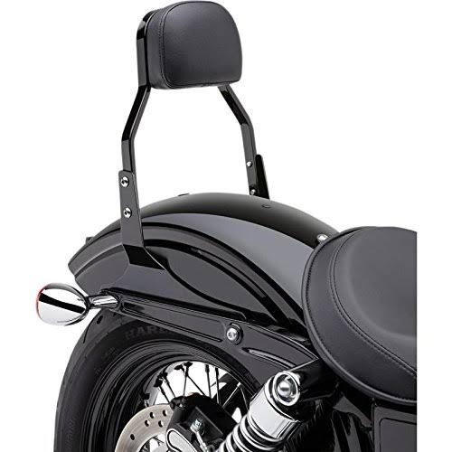 Black Powder-Coated Sissy Bar K567209