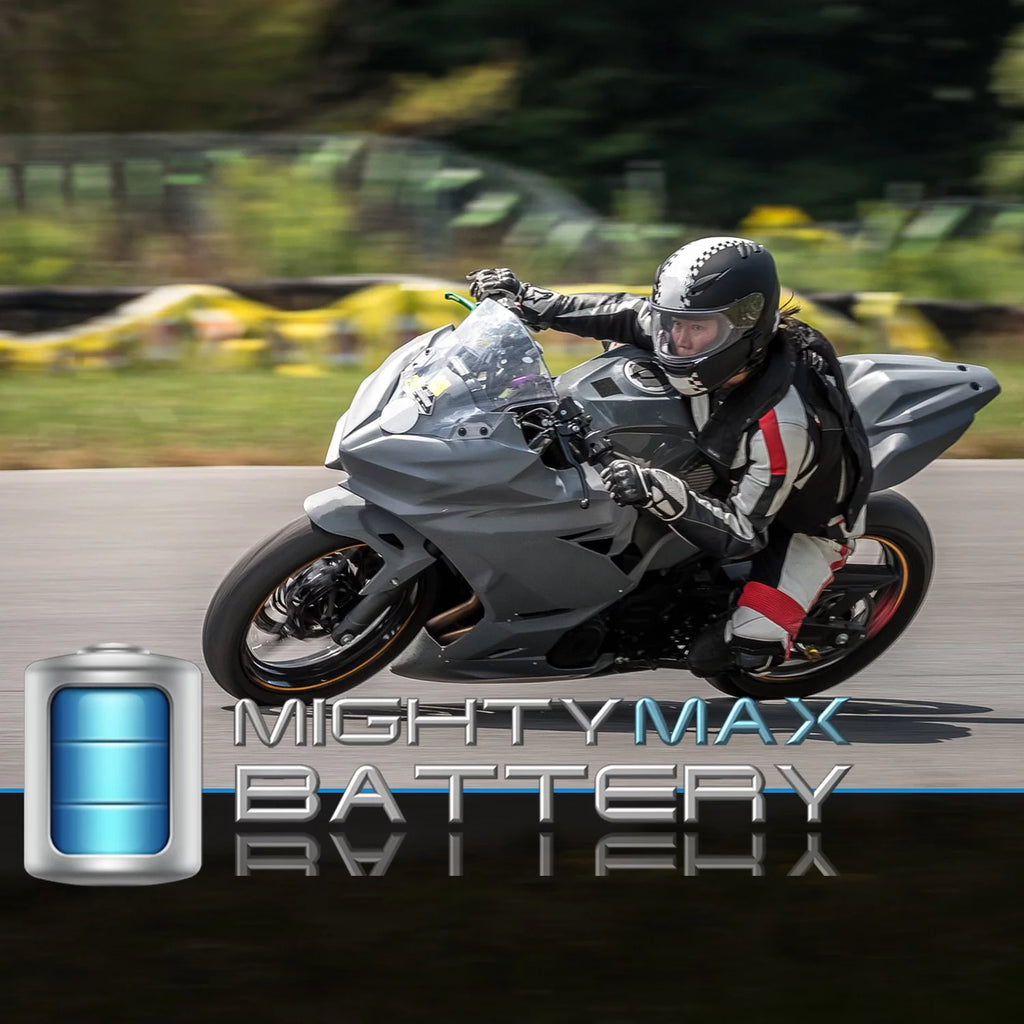 Lithium Replacement Battery 4 Pack E8389