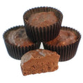 Toasted Coconut In Milk Chocolate 2-Lbs T1906