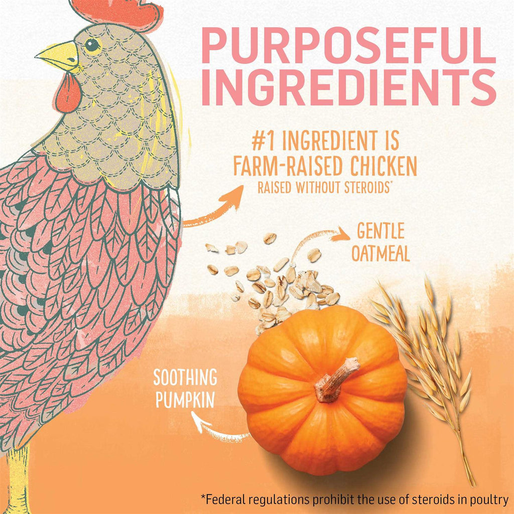 Natural Kitten Food Chicken & Oatmeal N4371