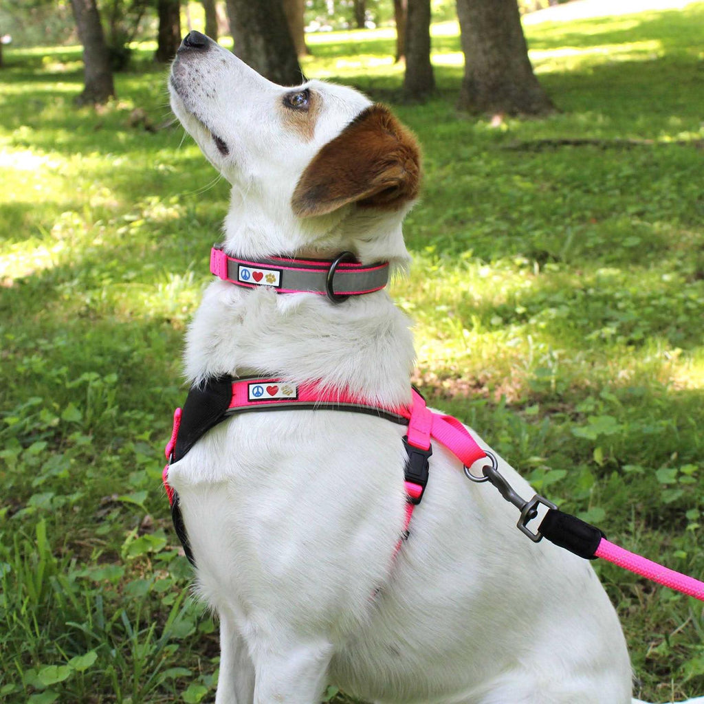 Reflective Dog Collar Small N7004