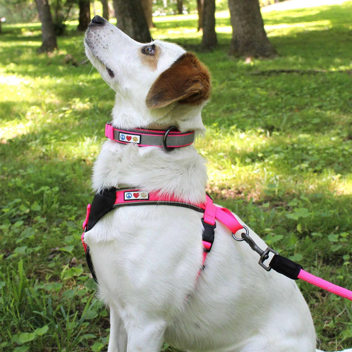 Reflective Dog Collar Small N7004