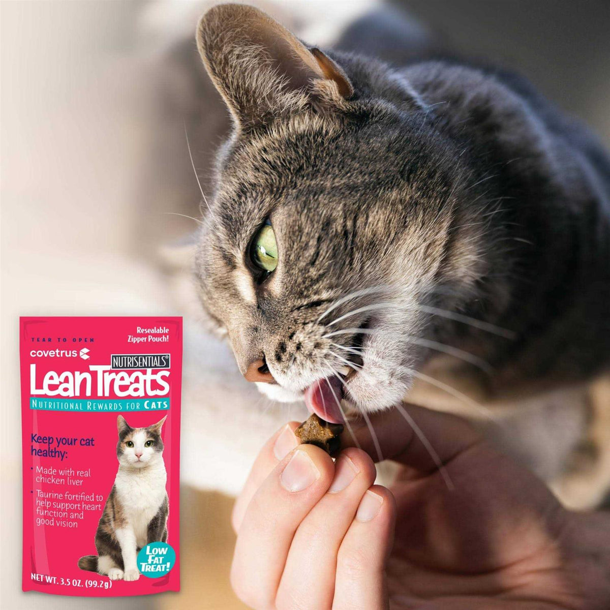 Soft Cat Treats V77722