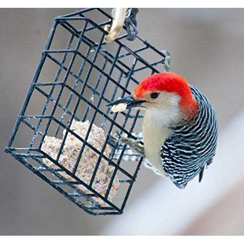 High Energy Suet Cakes L239509