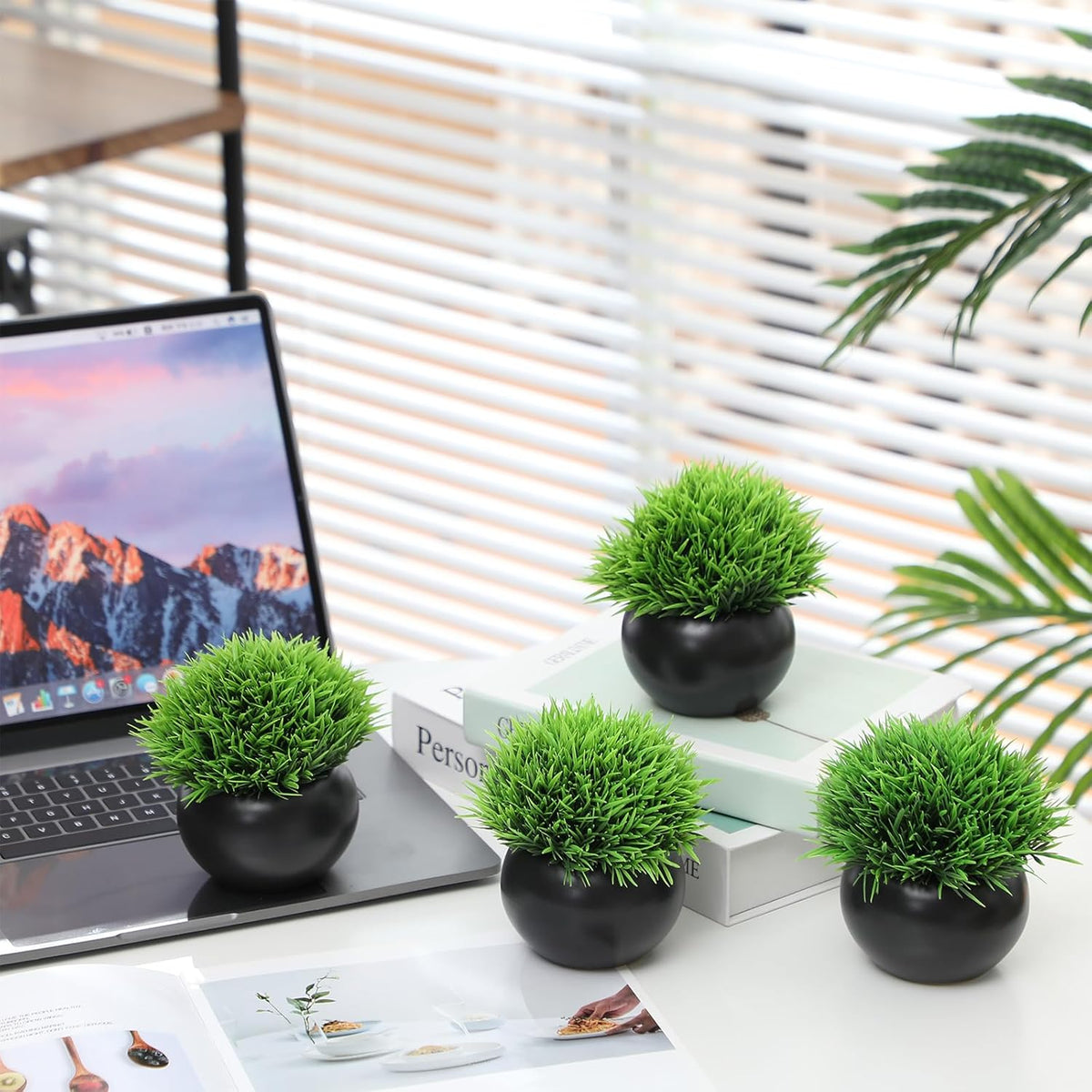 4 Pack Artificial Succulent Plants in Matte Black Ceramic Pots G2572