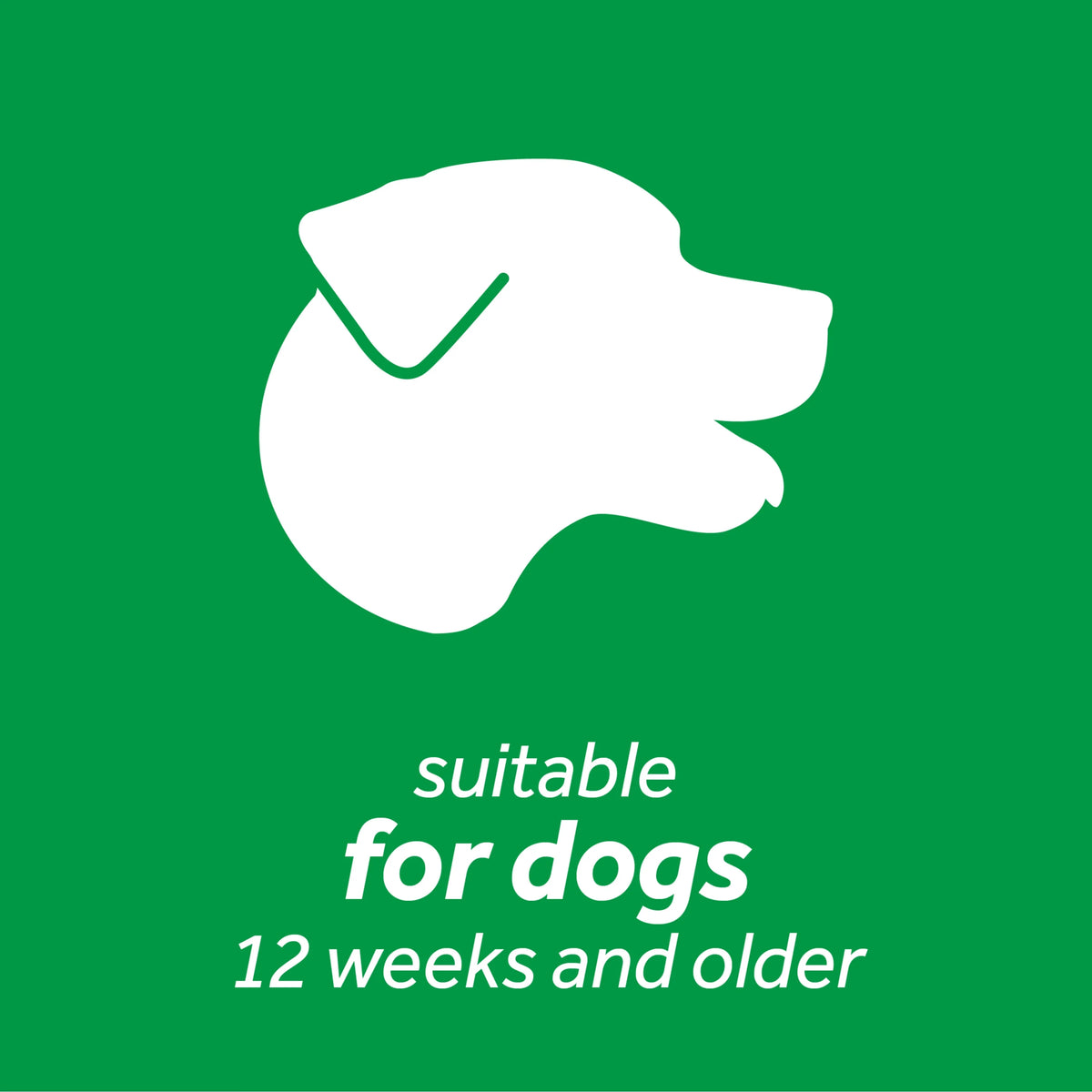 16oz Oral Care Water Additive for Dogs G14085