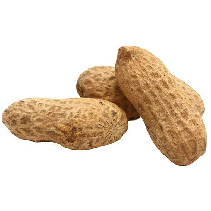 Unsalted In-Shell Whole Peanuts Bird Food A954231