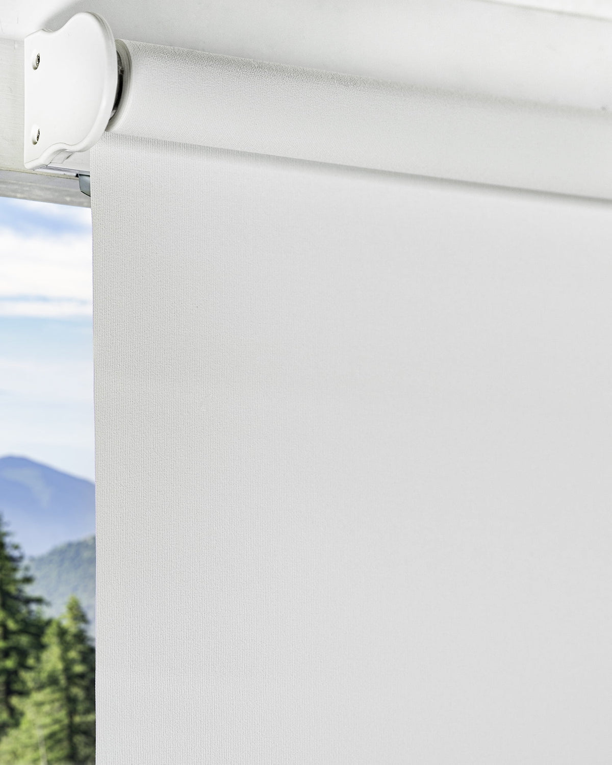 Cordless Roller Shade Blackout 23"W X 72"H G91503
