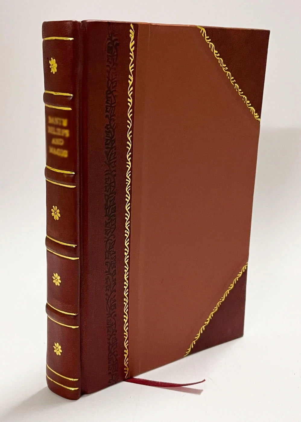 Leather Bound Book P396