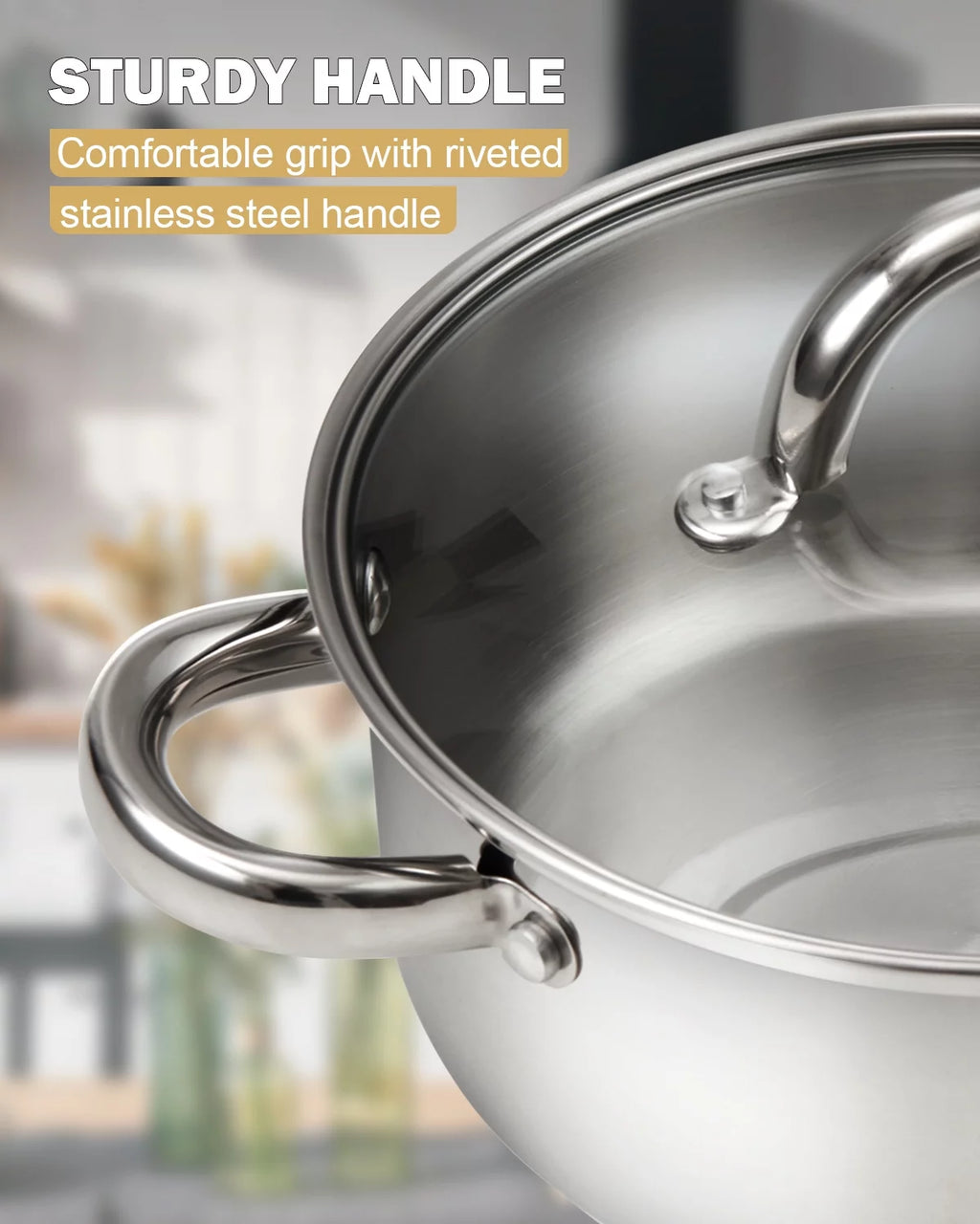 12-Quart Stainless Steel Stockpot with Lid K554