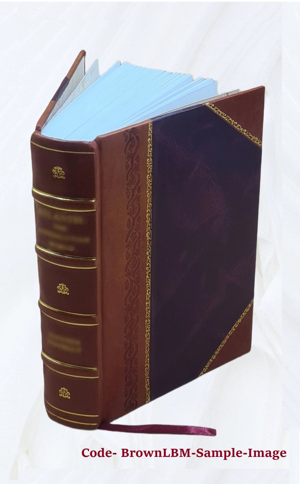 Leather Bound Book V7419