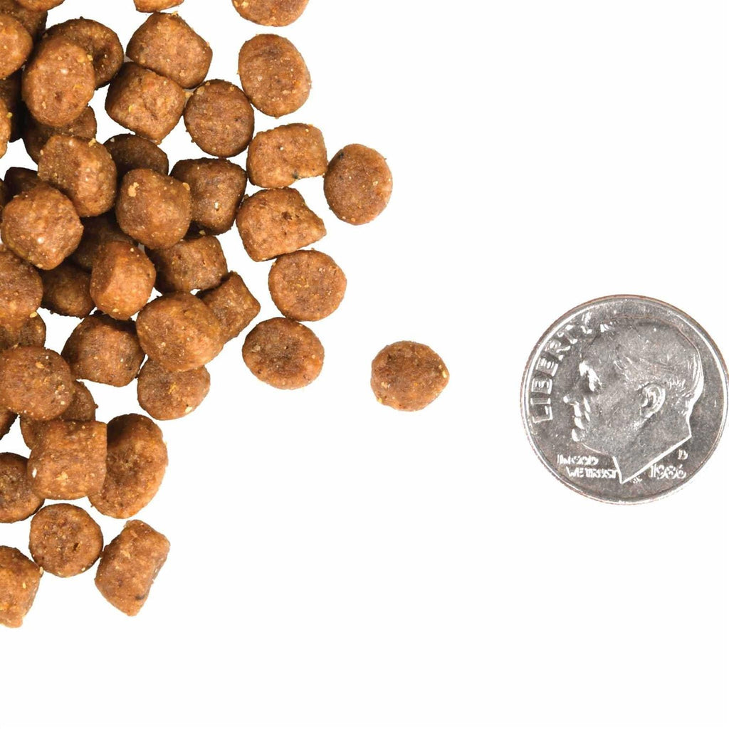 Cat Food U400437