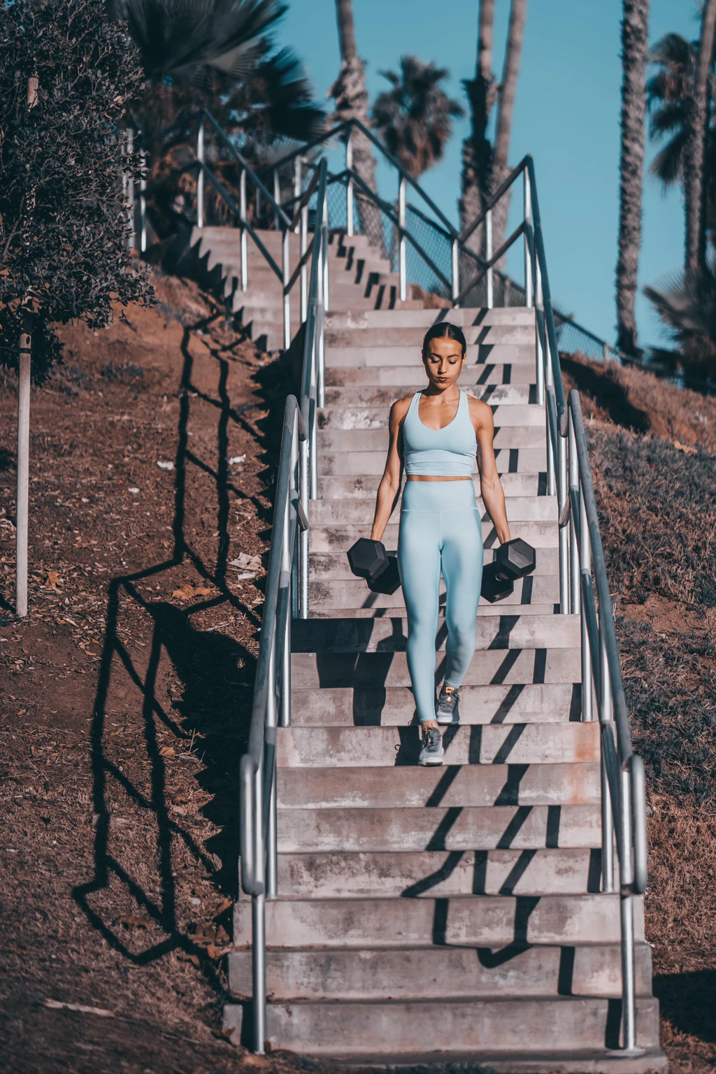 Dumbbell Pairs N434745