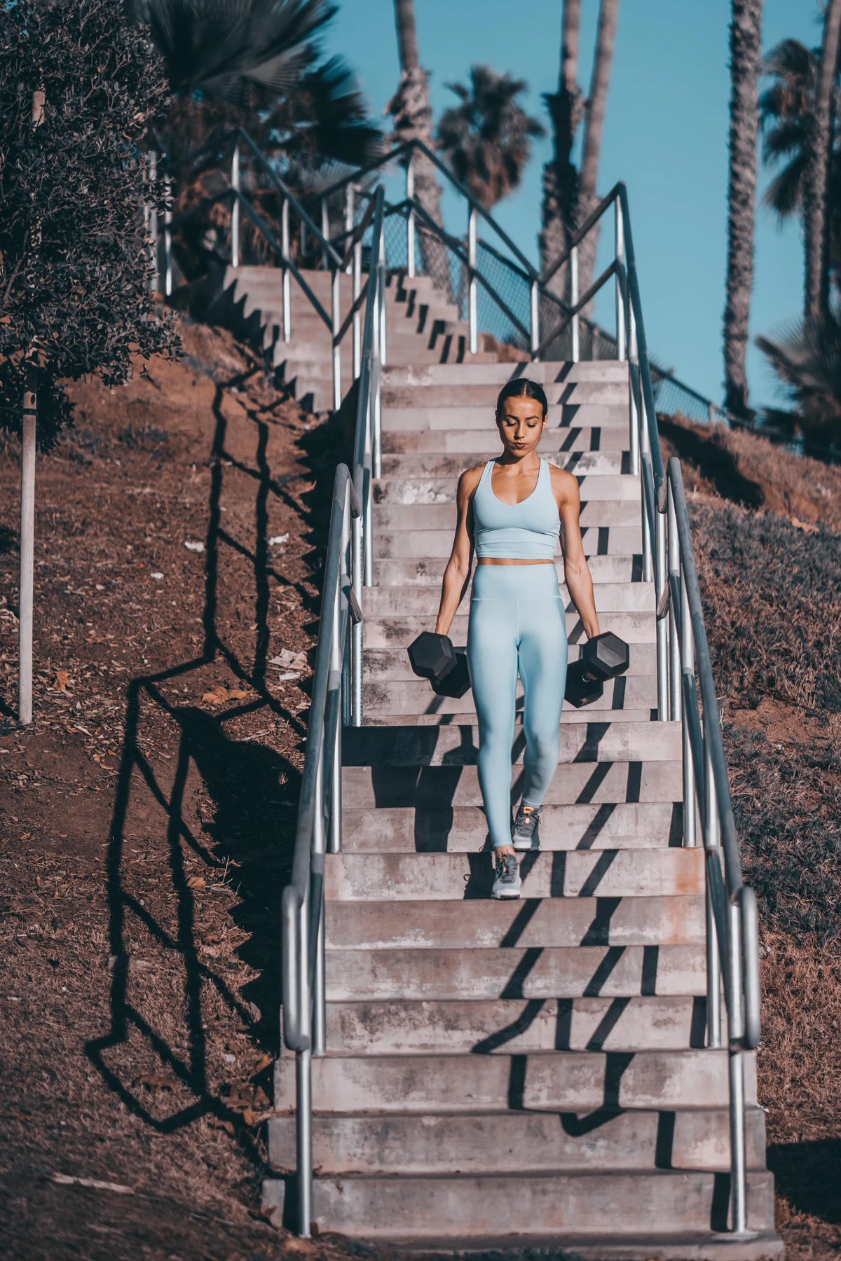 Dumbbell Pairs N434745