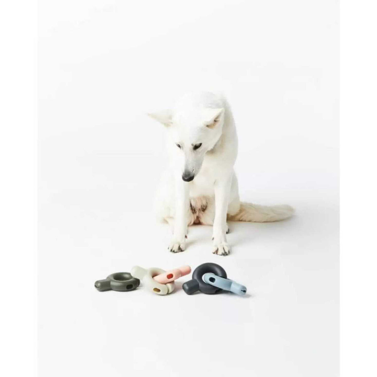 Dog Toy W24947