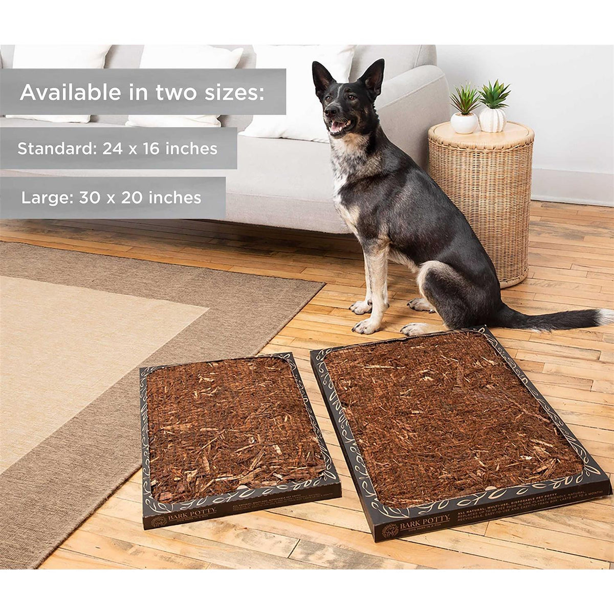 Disposable Dog Potty L2878