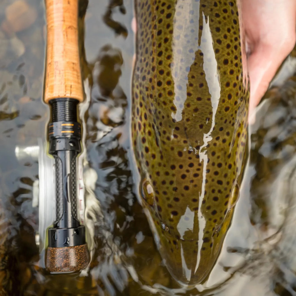 Euro Style Nymphing Fly Rod D685596