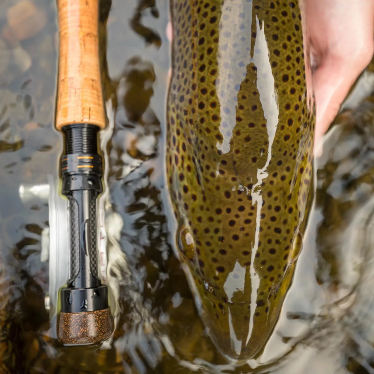 Euro Style Nymphing Fly Rod D685596