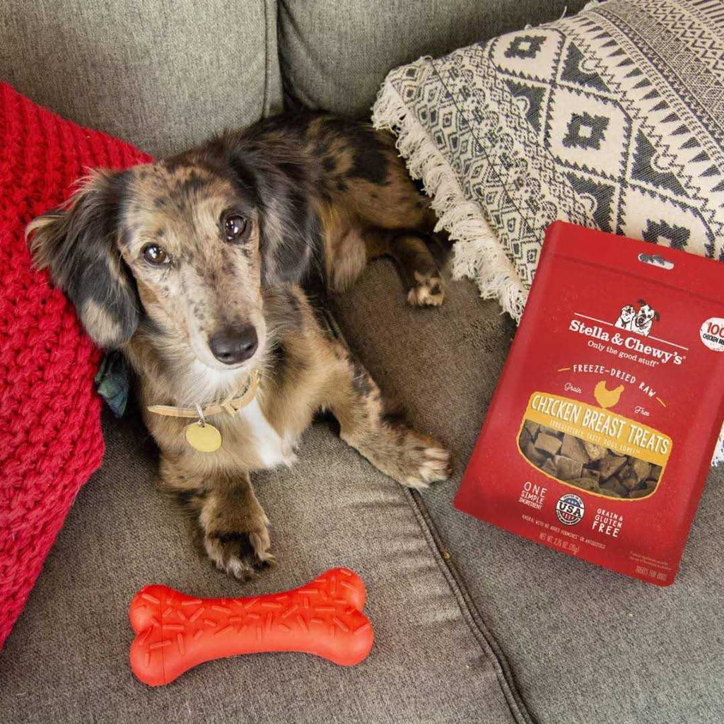 Freeze Dried Beef Dog Treats T994927