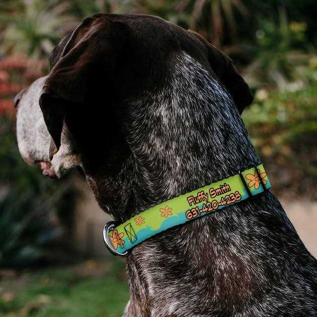 Scooby Doo The Mystery Machine Dog Collar J535548