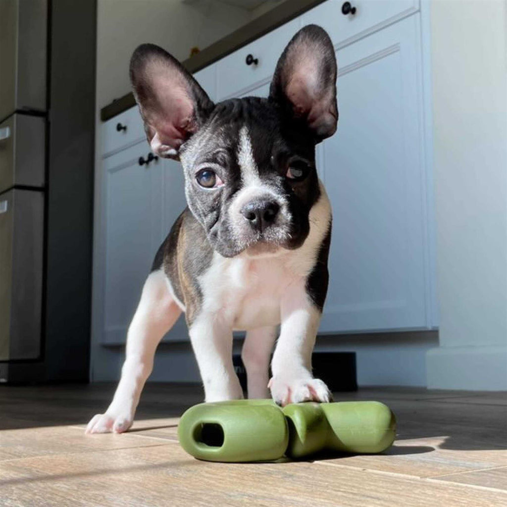 Dog Toy W24947
