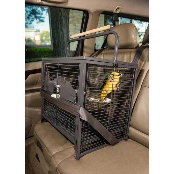 Pet Travel Carrier K23604