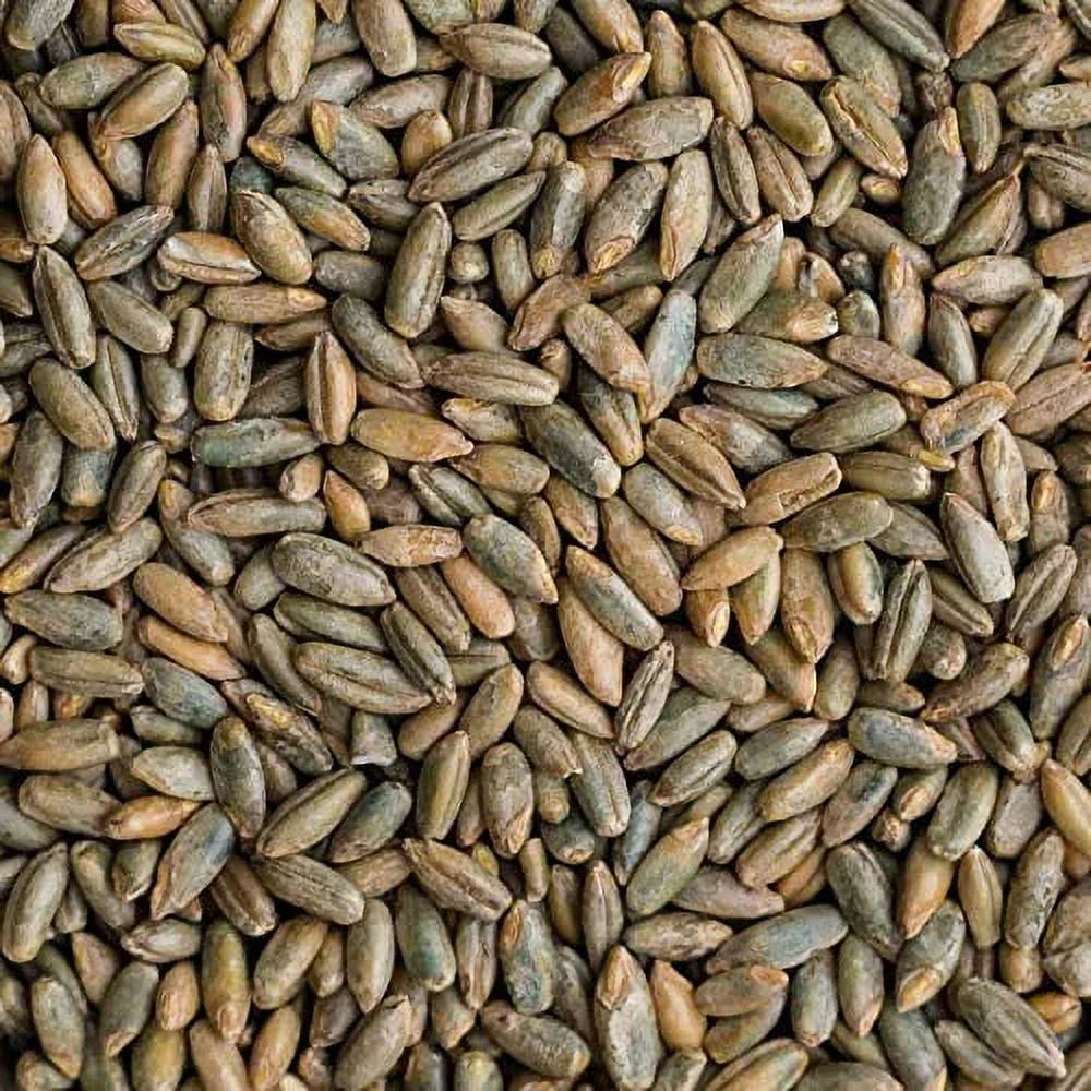 22 Pound Bag Of Rye Berries L5322