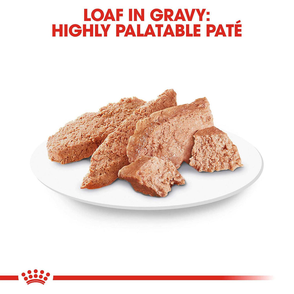 Adult Wet Dog Food R98865