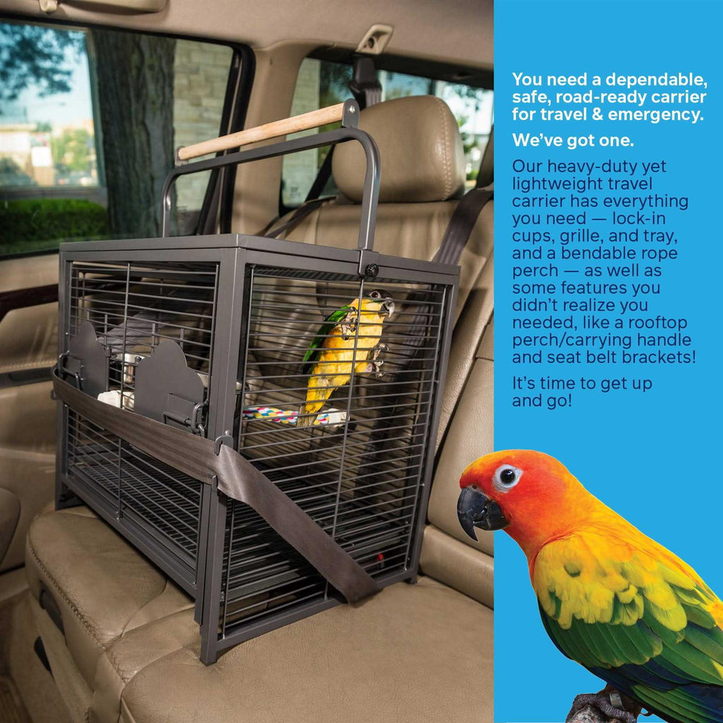 Pet Travel Carrier K23604