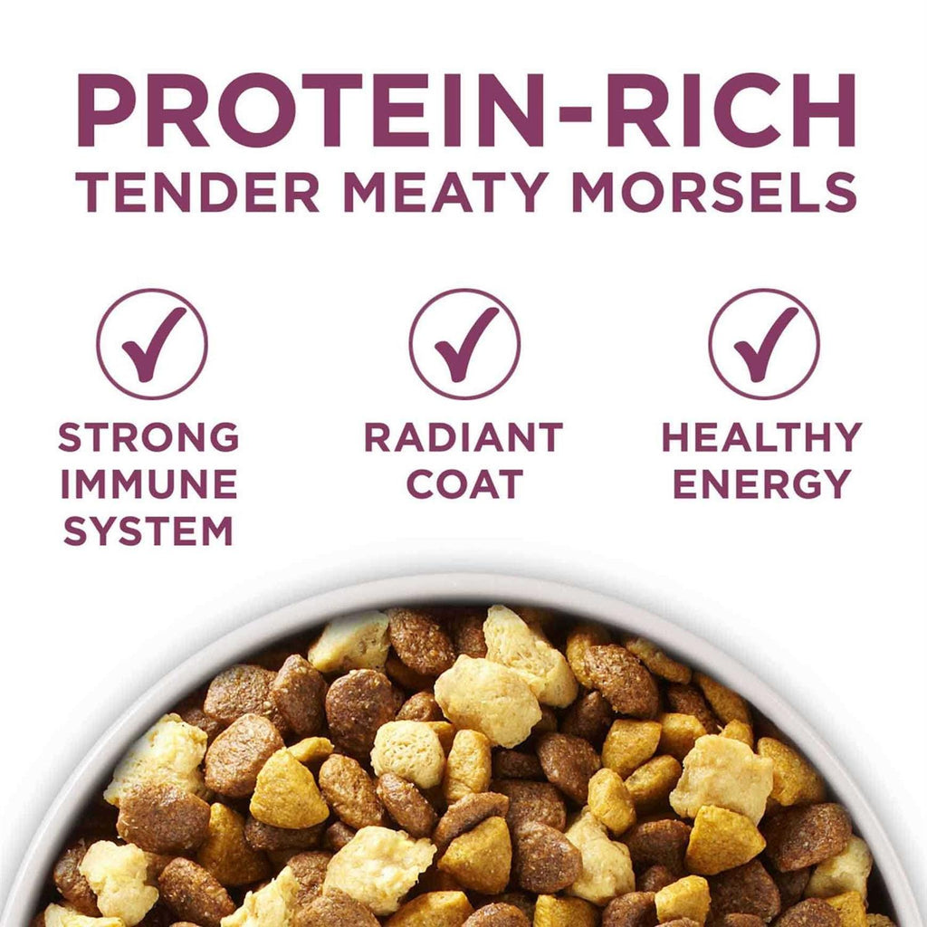 Healthy Puppy Formula Dry Food B122