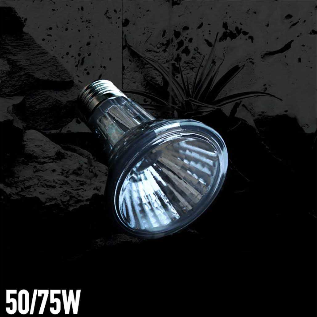 Halogen Heat Lamp H41659