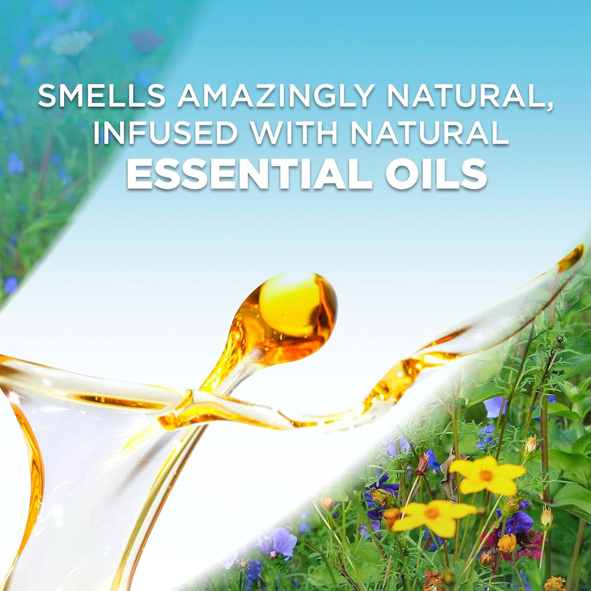 5 ct Brown Sugar and Vanilla Scented Oil Refill R513