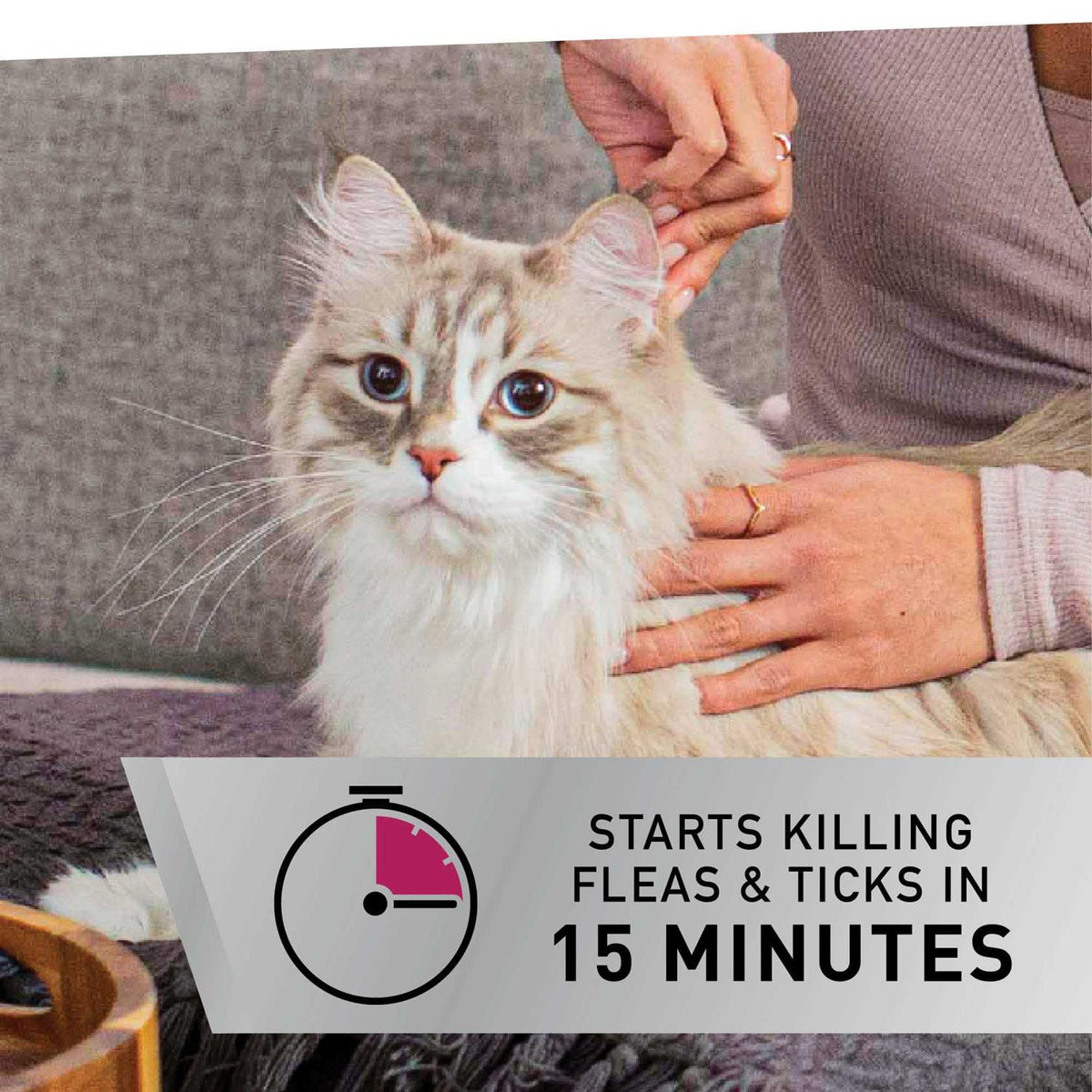 Flea and Tick Topical for Cats H49501