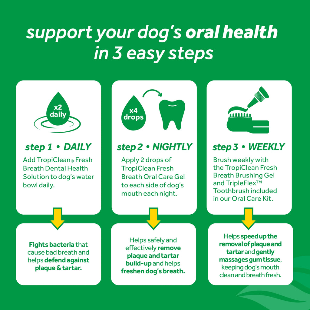 16oz Oral Care Water Additive for Dogs G14085