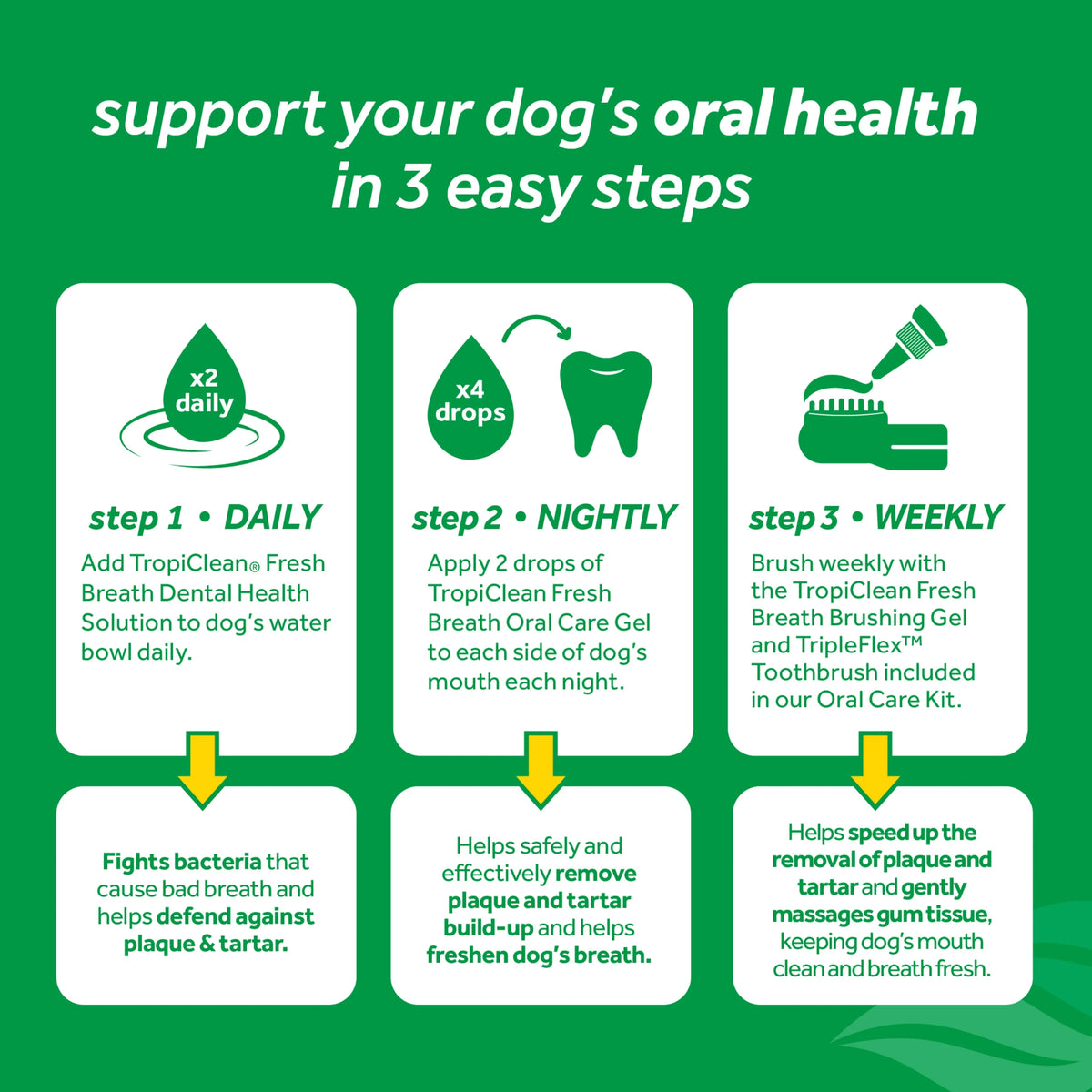 16oz Oral Care Water Additive for Dogs G14085