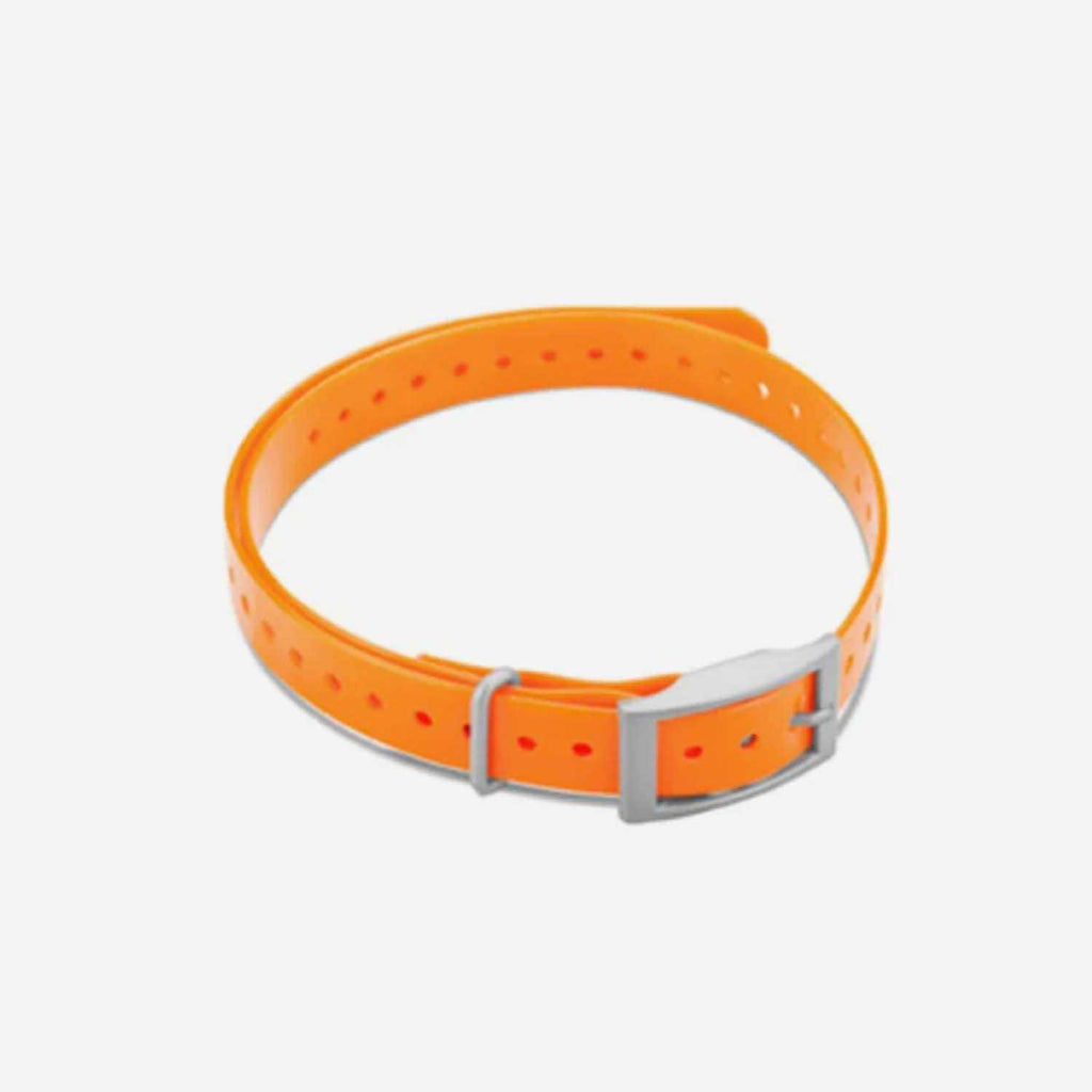Collar Strap M812766