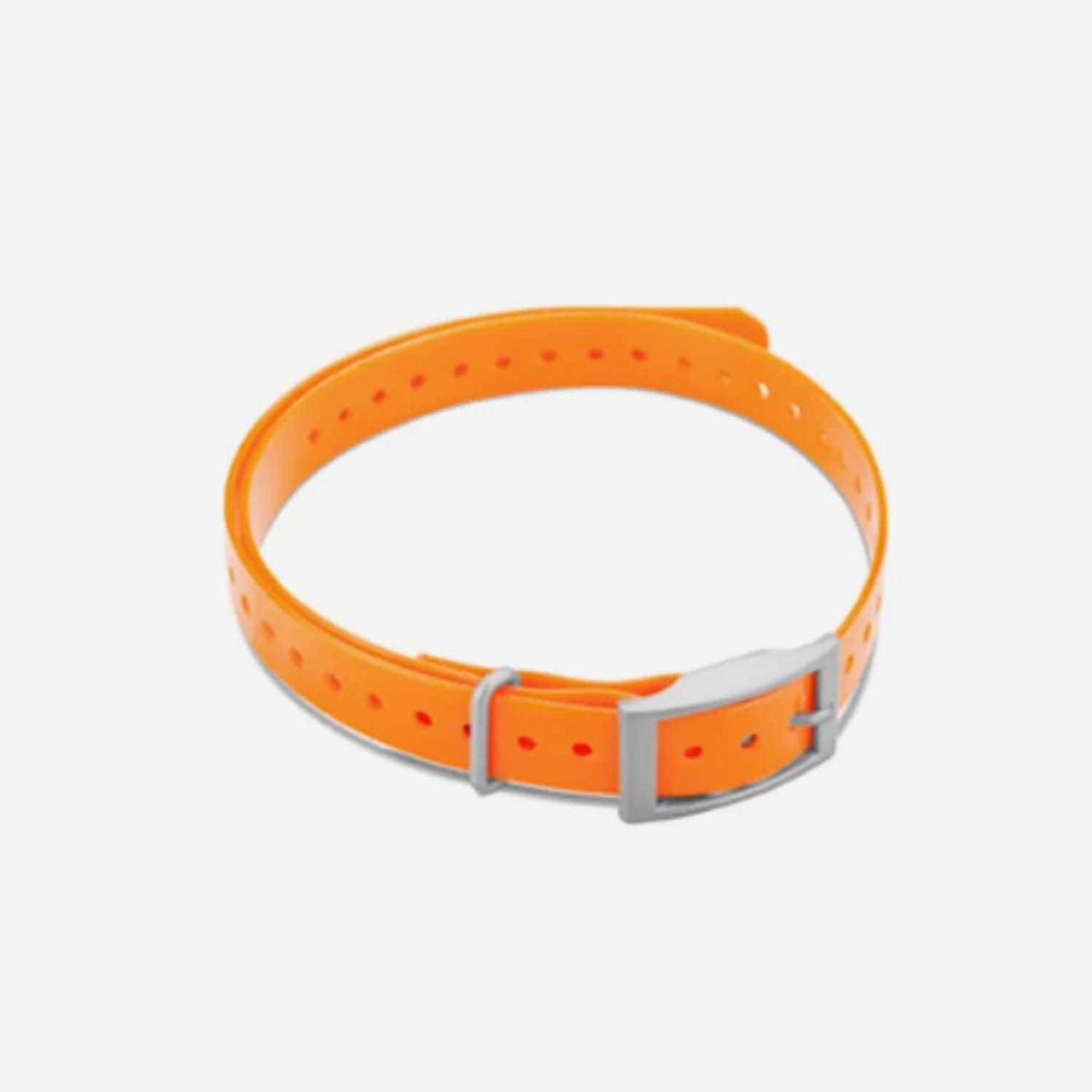 Collar Strap M812766