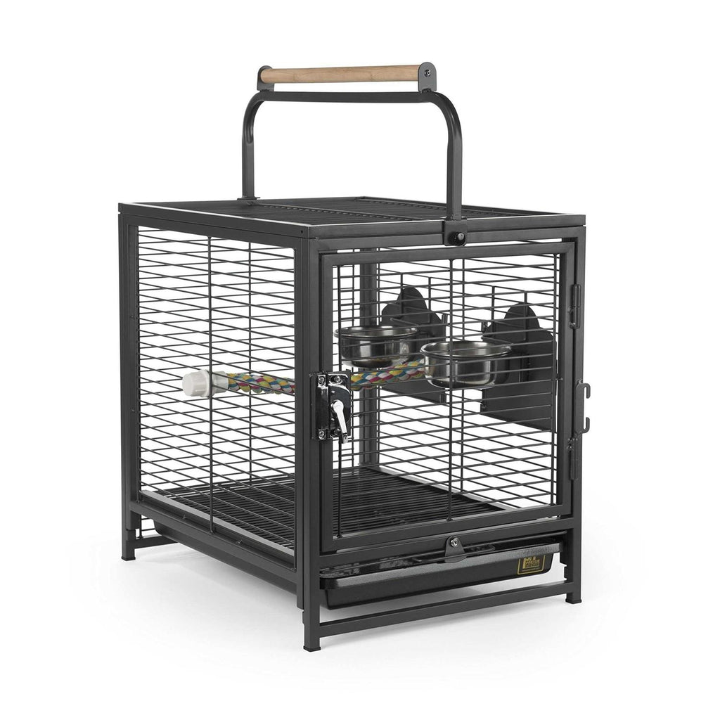 Pet Travel Carrier K23604